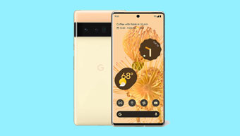 Google Pixel 6 Pro Service in Chennai